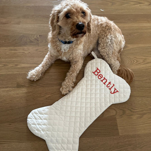 image of a small dog next to a cream quilted Christmas stocking in the shape of a dog bone with embroidered name Bently in red near the top of the stocking