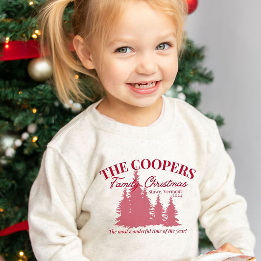 toddler wearing a heather oatmeal youth sweatshirt with a custom christmas print featuring a family name, vacation location, year, trees, and a "The most wonderful time of the year!" quote in red ink