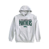 A light gray pullover hoodie featuring 'ST. PIUS X CATHOLIC SCHOOL PANTHERS' printed on the chest in dark green and black, with a small panther graphic below.