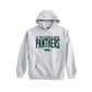A light gray pullover hoodie featuring 'ST. PIUS X CATHOLIC SCHOOL PANTHERS' printed on the chest in dark green and black, with a small panther graphic below.