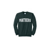 Dark green sweatshirt with 'PANTHERS' text on a white background
