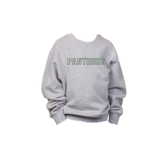 Gray sweatshirt with 'PANTHERS' text on a white background