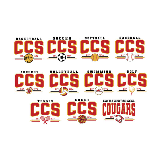 CCS Sports Pennant Hoodie | Adult and Youth Fit | CCS DTF SPORTS