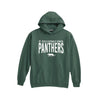 A dark green pullover hoodie with white printed text reading 'ST. PIUS X CATHOLIC SCHOOL PANTHERS' and a small panther graphic, shown on a plain white background.
