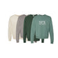 Four sweatshirts in different colors with 'SPX Panthers' text on a white background