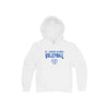 St. Joseph School Volleyball Hoodie | Adult and Youth | SJS DTF VB1