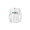 White sweatshirt with 'PANTHERS' text on a white background