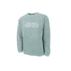 Gray sweatshirt with 'Saint Louis X Panthers' text on a white background