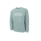 Gray sweatshirt with 'Saint Louis X Panthers' text on a white background
