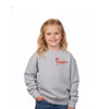 Embroidered Cougars Pennant Flag Youth Crewneck | CCSED29