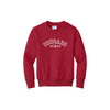 Embroidered Varsity Cougars Crewneck Sweatshirt | CCSED28