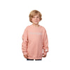 little boy wearing a pink youth sweatshirt with PANTHERS embroidered in an outlined varsity font and white thread on the center chest and a mini paw print on the left cuff