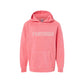 Pink hoodie with 'PANTHERS' text on a white background