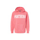 Pink hoodie with 'PANTHERS' text on a white background