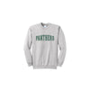 Gray sweatshirt with 'PANTHERS' text on a white background