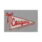 Embroidered Cougars Pennant Flag Youth Crewneck | CCSED29