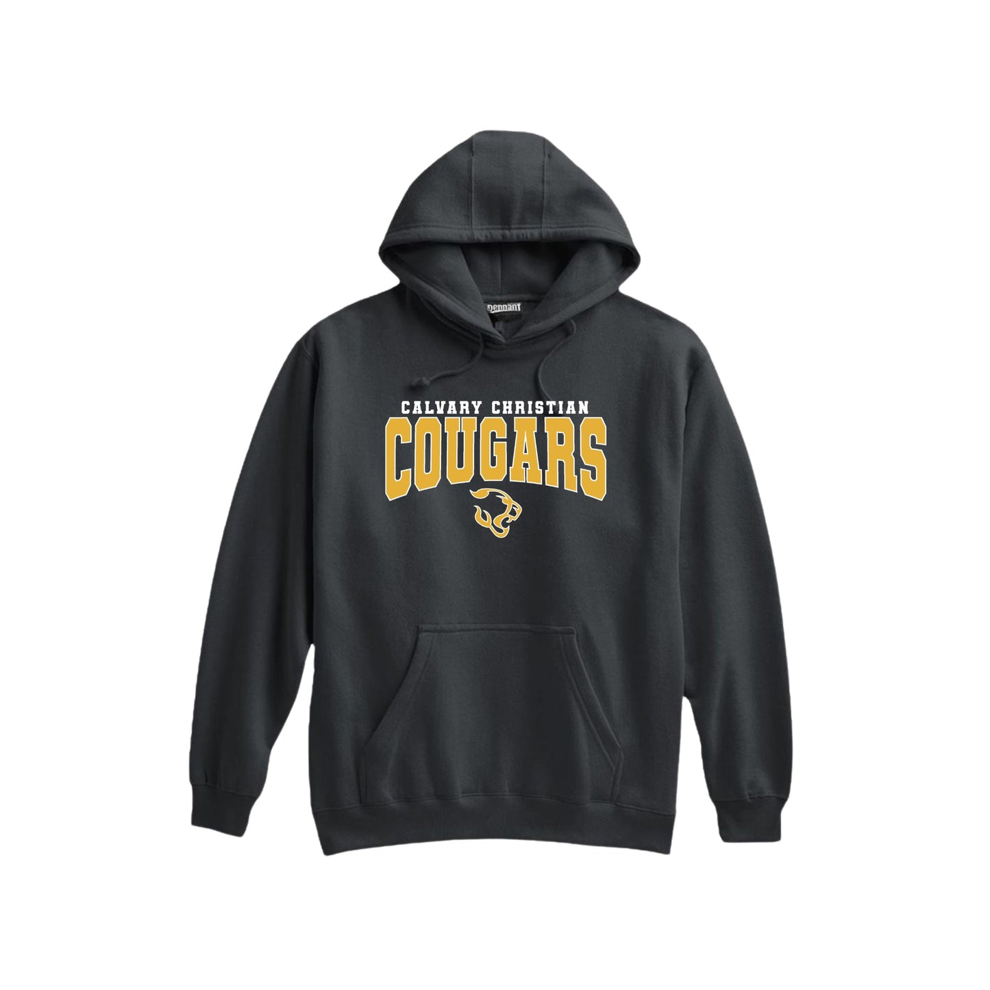 Printed Varsity CCS Cougars Hooded Sweatshirt | CCSDTF27