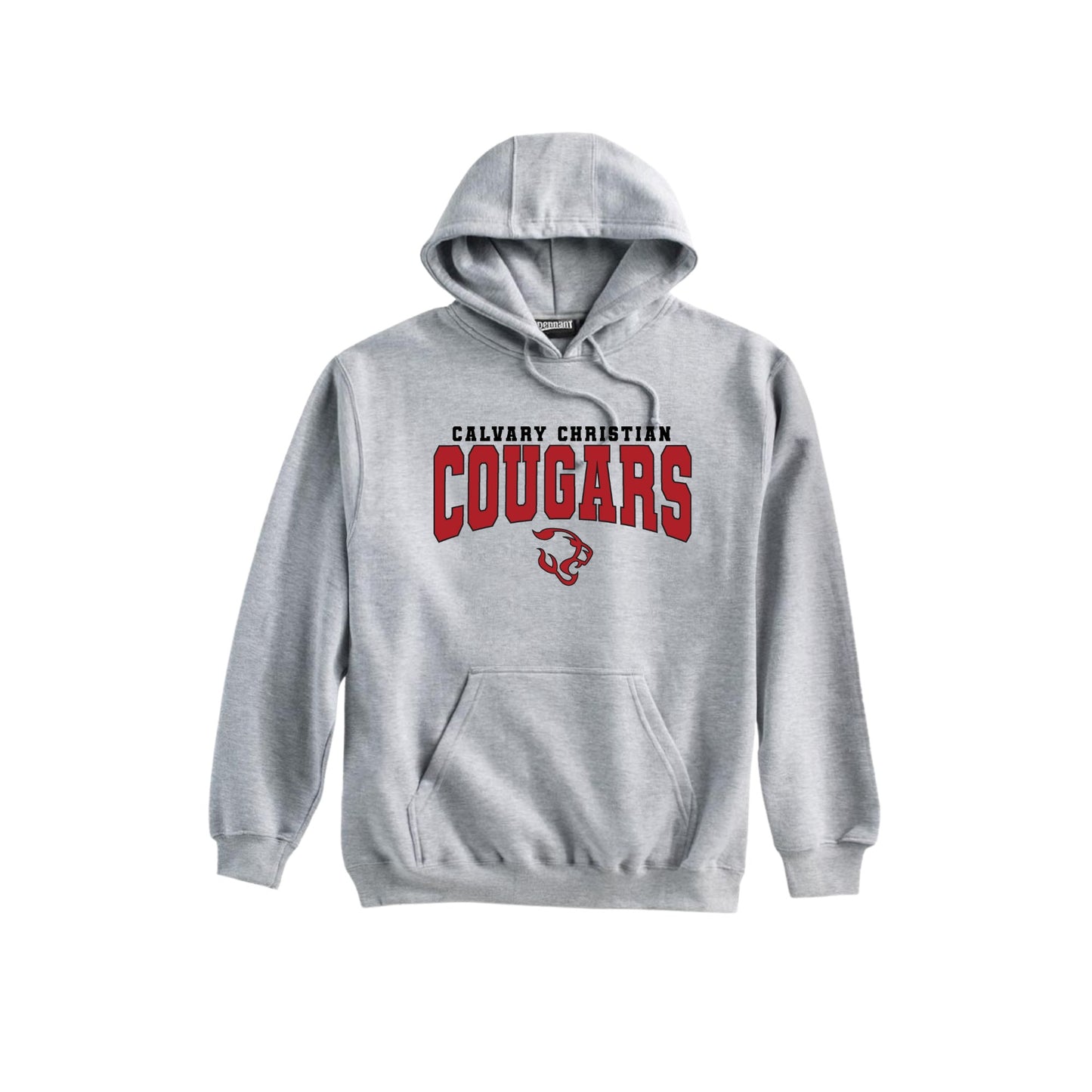 Printed Varsity CCS Cougars Hooded Sweatshirt | CCSDTF27