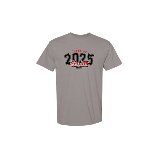 grey comfort colors t-shirt with custom class of 2025 senior printed design on the center chest