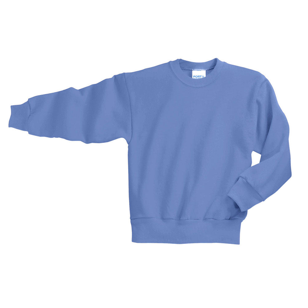 carolina blue youth crewneck sweatshirt
