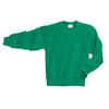 kelly green youth crewneck sweatshirt