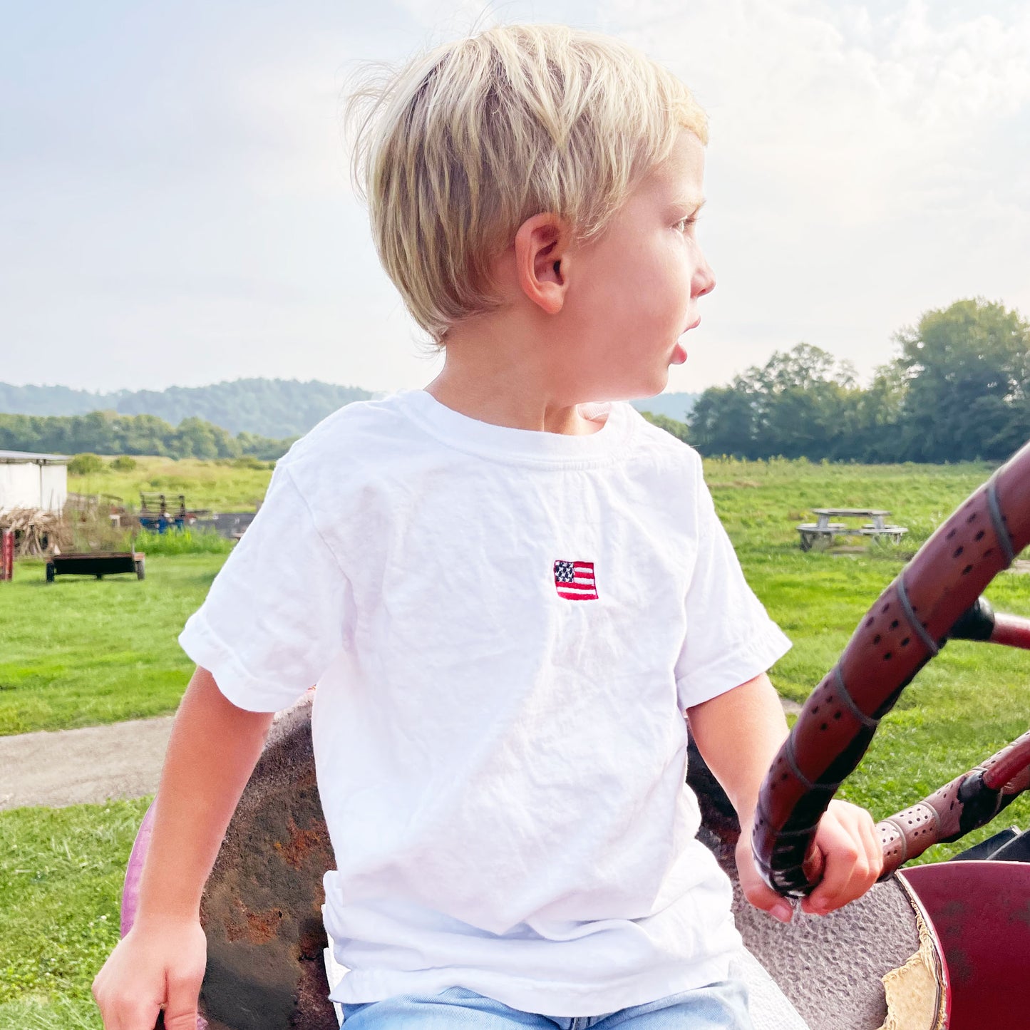 little boy on a farm wearing a white comfort colors t-shirt with an embroidered mini flag on the center of the shirt