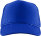 royal blue trucker hat