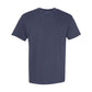 navy comfort colors